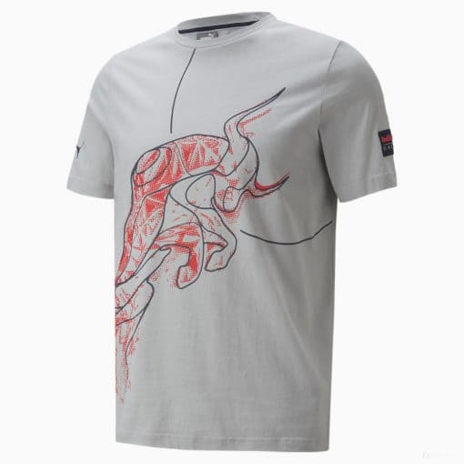 Red Bull T-shirt, Grey, 2022