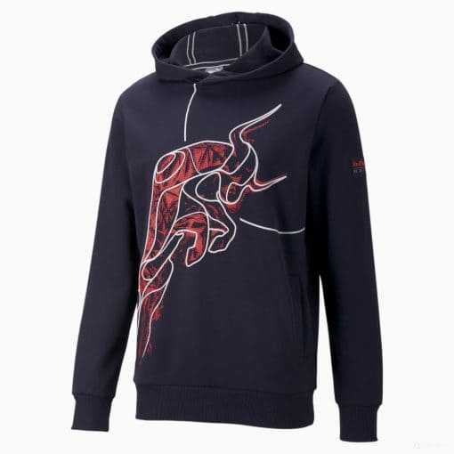 Red Bull Team Hooded Sweatshirt, Blue, 2022