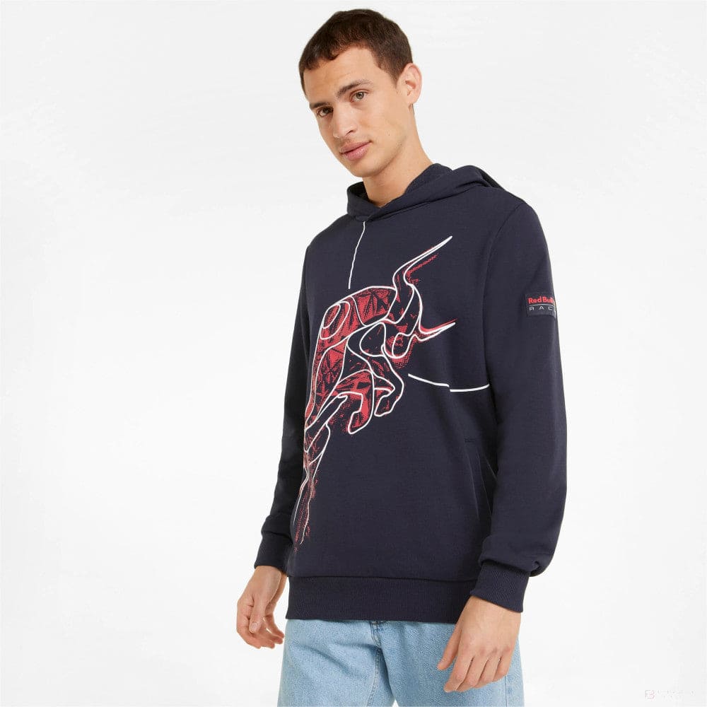 Red Bull Team Hooded Sweatshirt, Blue, 2022